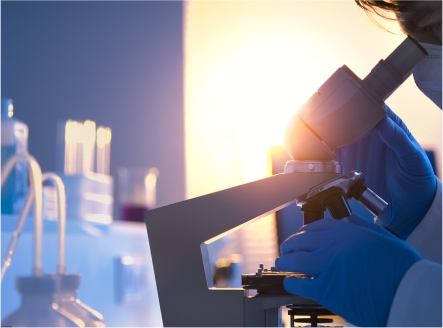 安博体育投注:2025 年电缆生产厂商名单： 知名品牌推荐 靠谱厂家精选清单